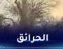 إندلاع عدة حرائق عبر الوطن اليوم
