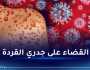 الصحة العالمية تطلق خطة لوقف تفشي جدري القردة