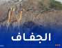 من بينها 83 فيلاً.. ذبح 723 حيوانا بريا وتوزيعها على المحتاجين