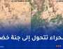 بعد هطول أمطار غزيرة.. الصحراء تكتسي حلة خضراء
