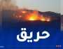إندلاع حريق غابة في البويرة