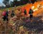 انخفاض حرائق الغابات في الجزائر بـ91% في 2024