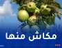 بلاغ هام حول تسقيف أسعار التفاح