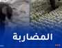 حجز كمية معتبرة من الزيت والسميد لاستعمالهما في خليط تغذية الدواجن بعين الدفلى