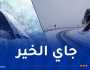 ثلوج.. موجة برد وأمطار غزيرة في هذه الولايات!