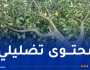 ولاية البليدة تنفي صحة فيديو مشبوه وتؤكد الإلتزام بحماية الأراضي الفلاحية