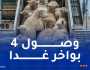 وصول 15 ألف كبشا من رومانيا مساء غد