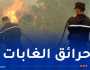 35 درون لتأمين الغابات.. 150 مليون غرامة والمؤبد للمتسببين في إحراقها