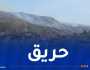 حريق الحظيرة الوطنية للشريعة ينتشر لحدود المدية