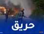 إندلاع حريق في ولاية جيجل