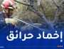 إخماد حرائق غابات عبر 5 ولايات