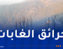 إندلاع حرائق في غابات البليدة وتيبازة اليوم