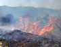 اندلاع 7 حرائق غابات خلال 24 ساعة