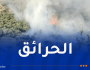 إندلاع 5 حرائق في جيجل