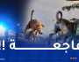 المسيلة: وفاة مأساوية لطفلة في الثالثة من عمرها بعد هجوم كلاب ضالة بحي مزرير