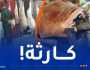 حجز كمية معتبرة من لحوم الأغنام غير صالحة للإستهلاك بوهران