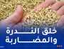 إحباط سرقة 342 قنطار من الشعير المدعم وتوقيف 3 أشخاص بتوقرت