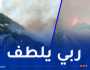 عملية الإخماد متواصلة.. إندلاع حريق غابة بالأرهاط في تيبازة