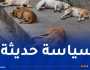 وزارة الفلاحة: الوقف الفوري والنّهائي لحملات قتل الحيوانات الضالة