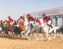سباق الخيول العربية الأصيلة السادس ينطلق اليوم في الظفرة