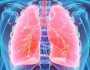 كيف تنظف الرئة من آثار التدخين والسموم في خمس دقائق .. أقوى وصفة لتنقية الرئة من السموم حتى لو استمريت بالتدخين