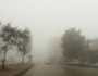 الأرصاد تحذر من الضباب في هذه المناطق يوم غد الأحد