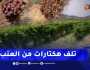 جزائريون: الحرارة.. لهيب الحرائق ونقص المياه.. خسائر بالجملة لمنتجي العنب ببومرداس