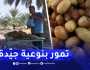 بسكرة / قبيل موسم جني التمور.. باكورة التمر مقصد مستعملي الطريق