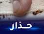 هذه علامات غزو “بق الفراش” للمنازل