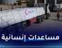 الصحة الفلسطينية: إدخال 20 شاحنة مساعدات عبر معبر رفح لأول مرة