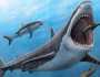 منوعات السبب الحقيقي وراء انقراض أضخم سمكة قرش في العالم