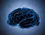 علماء أعصاب يكشفون عن 5 أسرار للحفاظ على صحة الدماغ