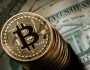 علوم وتكنولوجيا انخفاض طفيف فى أسعار عملة البيتكوين بنسبة 0.28% خلال الـ24 ساعة الماضية