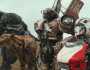 فن فيلم Transformers: Rise of the Beasts يحقق 429 مليون دولار عالميا