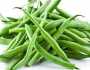 لهذا السبب.. لا تتناول الفاصولياء الخضراء نيئة لايف ستايل