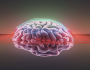علماء أعصاب يكشفون عن 5 أشياء يفعلونها للحفاظ على صحة أدمغتهم!