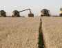 خلال نصف عام.. روسيا تضاعف صادراتها من القمح ثلاث مرات لأفريقيا