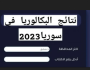 هام جدا نتائج البكالوريا 2023 الدورة الأولى سوريا عبر moed gov Syria