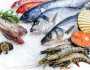 البلطي بـ 69 جنيه.. أسعار السمك والجمبري اليوم الثلاثاء 11 يوليو 2023 خدمات