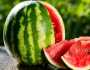 يحمى من السرطان.. فوائد هامة للبطيخ لا يعرفها الكثير منوعات الاسبوع