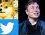 تكنولوجيا نهاية العصفور الأزرق.. إيلون ماسك يعلن عن قرار تغيير شعار تويتر