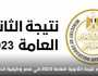 بنسبة نجاح 79%.. رابط مباشر نتيجة الثانوية العامة 2023