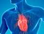 مشاكل عضلة القلب... اليكم بعض الاسباب صحة