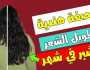 ينمو بشكل صاروخي الوصفه الهنديه لتطويل الشعر في اشرع وقت وانبات الفراغات اخبار اليوم