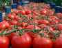 الزمان التركية : روسيا تزيد حصة استيراد الطماطم من تركيا