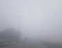 ضباب كثيف.. والرؤية الأفقية تتدنى لأدنى المستويات
