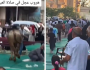 بقرة تقتحم ساحة صلاة عيد الأضحى في مسجد بدولة عربية.. شاهد ردة فعل المصلين