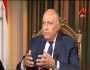 وزير الخارجية: استعدنا عضوية الاتحاد الإفريقي مع بداية تولي السيسي للرئاسة
