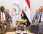 وزير الري ونظيره السوداني يؤكدان حرصهما على تعزيز التعاون