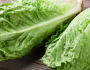 الخس.. فوائد مذهلة لمرضى السكري لا يمكن تخيلها
